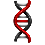 DNA Strand