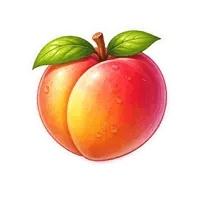 Peach Flavor Icon