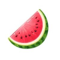 Watermelon Flavor Icon